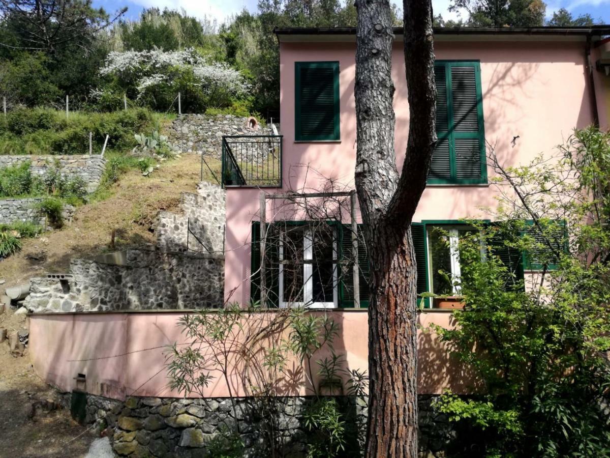 Terrace & Parking - Holiday Home Near Fegina Beach 蒙特罗索阿尔马雷 外观 照片